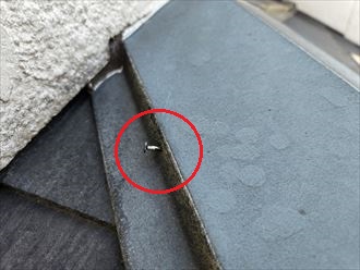 棟板金の釘が抜けてきている